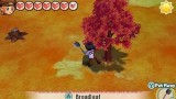 Joc Story Of Seasons Trio Of Towns pentru Nintendo 3DS