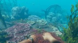 Joc Stranded Deep pentru Nintendo Switch