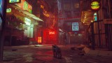 Joc Stray pentru XBOX SERIES