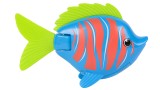 Animalut Swims Rainbow Reef Beta Fish (6072503)