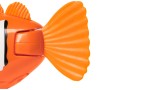 Animalut Swims Rainbow Reef Fish Clown Fish (6072502)