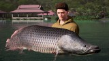 Joc The Catch Carp Coarse Collectors Edition pentru PlayStation 4 | PS4