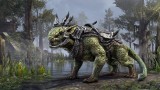 Joc The Elder Scrolls Online Blackwood Collection pentru PS4