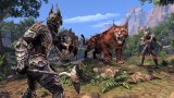 Joc The Elder Scrolls Online Elsweyr pentru PS4