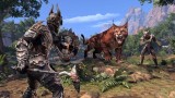 Joc The Elder Scrolls Online Elsweyr pentru Xbox One