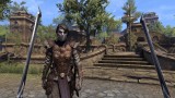 Joc The Elder Scrolls Online Morrowind pentru PS4