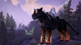 Joc The Elder Scrolls Online Summerset pentru PS4