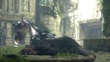 Joc The Last Guardian Collectors Edition pentru PS4