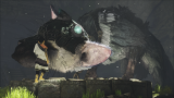 Joc The Last Guardian Collectors Edition pentru PS4