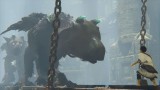 Joc The Last Guardian Collectors Edition pentru PS4