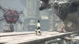Joc The Last Guardian Collectors Edition pentru PS4