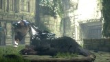 Joc The Last Guardian pentru PS4
