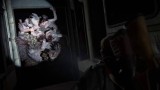 Joc The Last Of Us Part II Remastered pentru PS5