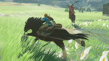 Joc The Legend Of Zelda Breath Of The Wild pentru Nintendo Switch