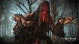 Joc The Witcher 3 Wild Hunt pentru Xbox One