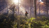 Joc Thehunter Call Of The Wild pentru PS4