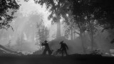 Joc Trek To Yomi pentru Nintendo Switch