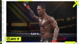 Joc Ufc 4 pentru PS4