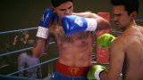 Joc Undisputed Deluxe Wbc Edition pentru XBOX SERIES