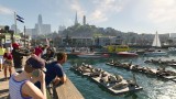 Joc Watch Dogs 2 pentru PS4