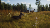 Joc Way Of The Hunter pentru PS5