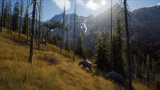 Joc Way Of The Hunter pentru PS5