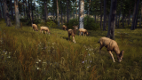 Joc Way Of The Hunter pentru PS5