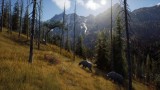 Joc Way Of The Hunter Wild Expeditions pentru XBOX SERIES