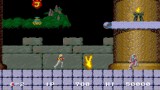 Joc Windjammers Karnov & Friends Evercade
