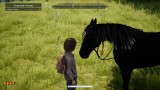 Joc Windstorm An Unexpected Arrival pentru Nintendo Switch