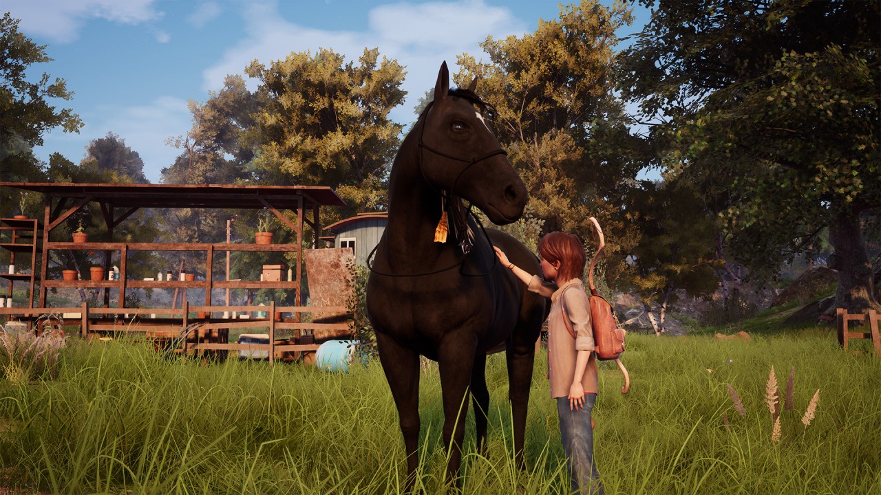 Joc Windstorm Aris Arrival pentru Nintendo Switch