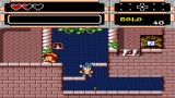 Joc Wonder Boy Collection pentru Nintendo Switch