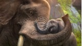 Joc Zoo Tycoon pentru Xbox One