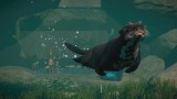 Joc Planet Zoo: Aquatic Pack pentru PC Digital