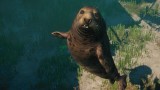 Joc Planet Zoo: Aquatic Pack pentru PC Digital