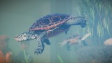 Joc Planet Zoo: Aquatic Pack pentru PC Digital