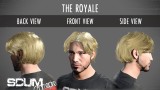 Joc Scum Male Hair Pack pentru PC Digital