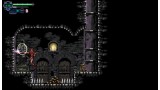 Joc Chronicles Of The Wolf pentru PC Digital