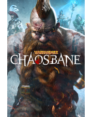 Warhammer Chaosbane