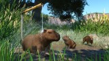 Joc Planet Zoo: Wetlands Animal Pack pentru PC Digital