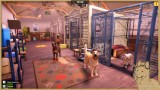 Joc Animal Shelter 2 pentru PC Digital
