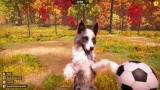 Joc Animal Shelter 2 pentru PC Digital
