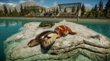 Joc Jurassic World Evolution 2: Prehistoric Marine Species Pack pentru PC Digital