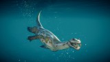Joc Jurassic World Evolution 2: Prehistoric Marine Species Pack pentru PC Digital