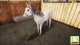 Joc Animal Shelter - Horse Shelter Dlc pentru PC Digital