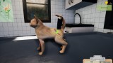 Joc Animal Shelter - Puppies & Kittens Dlc pentru PC Digital