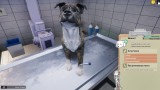 Joc Animal Shelter - Vet Clinic Dlc pentru PC Digital
