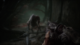 Joc Scorn Deluxe Edition (steam) pentru PC Digital