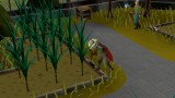 Joc Old School Runescape 6-month Membership + Ost pentru PC Digital