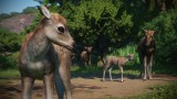 Joc Planet Zoo: Asia Animal Pack pentru PC Digital